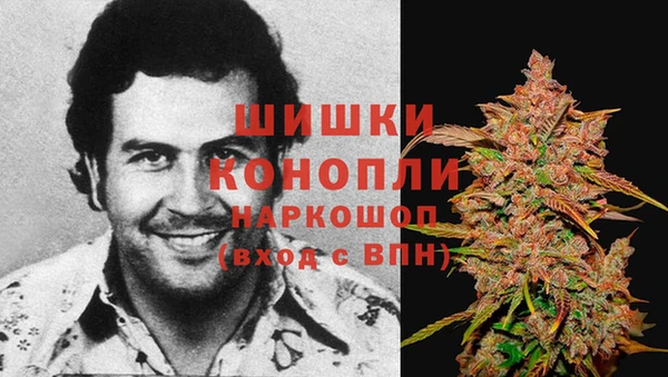 кокс Инсар