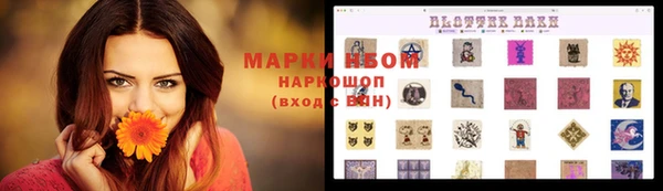 кокс Инсар