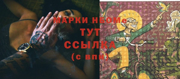 кокс Инсар