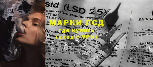 ПСИЛОЦИБИНОВЫЕ ГРИБЫ Инта