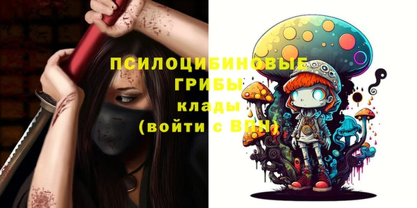 кокс Инсар