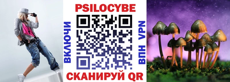 Купить  Железногорск-Илимский  Псилоцибиновые грибы MAGIC MUSHROOMS 
